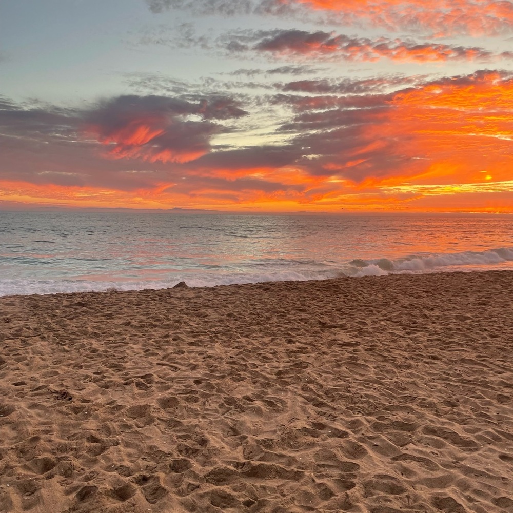 Meet your Posher, Neonocean